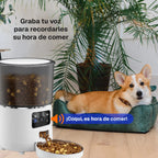 Dispensador Automático Inteligente para Mascotas con Wi-Fi, Cámara y Audio