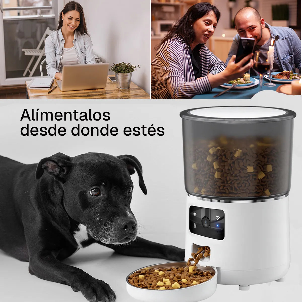 Dispensador Automático Inteligente para Mascotas con Wi-Fi, Cámara y Audio